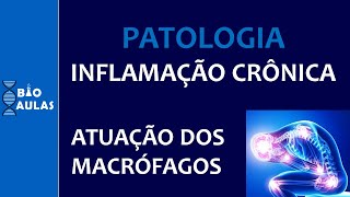 Inflamação Crônica  Atuação dos Macrófagos e Inflamação Granulomatosa Patologia Geral [upl. by Phi]