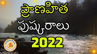 Pranahita Pushkaralu 2022 Pranahita River Pushkarams 2022 ప్రాణహిత పుష్కరాలు Pranitha Pushkaralu [upl. by Fortunio]