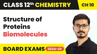 Structure of Proteins  Biomolecules  Class 12 Chemistry Chapter 10  CBSE 202425 [upl. by Oralle]