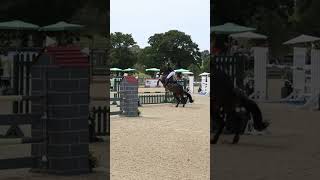 Us at hickstead qualifying for the main ring bellarose horsesaremylife competition horses [upl. by Percy464]