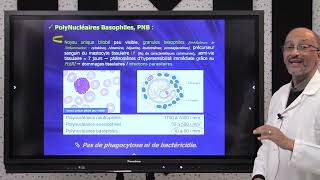 8 IMMUNOLOGIE S5  Cellules du Système Immunitaire inné part 3 [upl. by Ayet]