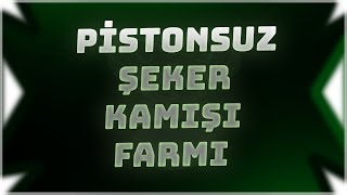 PİSTONSUZ ŞEKER KAMIŞI FARMI  MİNECRAFT SONOYUNCU TİTANYUM [upl. by Nirik695]