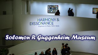 Central Park amp Solomon R Guggenheim Museum  Harmony and Dissonance Orphism in Paris 1910–1930 [upl. by Marra]