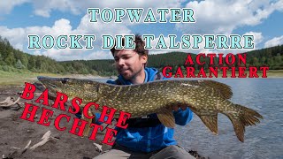 Topwater angeln rockt die Talsperre [upl. by Einaffets]