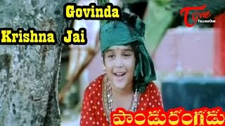 Pandurangadu  Govinda Krishna Jai  Viswanath  Telugu Song [upl. by Enileoj729]