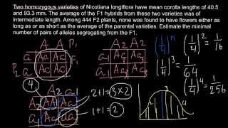 Quantitative Genetics  How to find number of genes controlling the trait [upl. by Hulbert490]