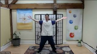 Qigong The 8 Brocades and Five Element Blend [upl. by Arsuy]