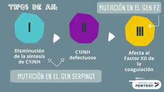 ANGIOEDEMA HEREDITARIO  INMUNOLOGÍA [upl. by Dyna]