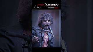 Antonio Reyes acompañado por Nono Reyes  por Bulerías  Festival de Cante Flamenco  Berja 2024 [upl. by Acirea]