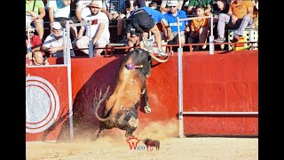 ESPECTACULAR TORAZO DE LA PEÑA TAURINA DE NUMANCIA 2024 [upl. by Andres519]