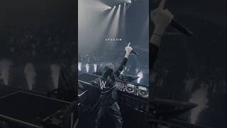 Alan Walker  Avalon Lyrics shorts alanwalker [upl. by Anaiuq593]