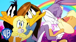 Looney Tunes  Couples Goals  WB Kids [upl. by Amalbena596]