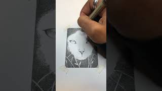 Stippling Cat Face Pen and Ink Drawing art [upl. by Enomaj]