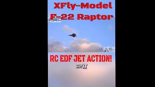 RC JET F22 Raptor is A MustHave RC EDF Jet [upl. by Sair926]