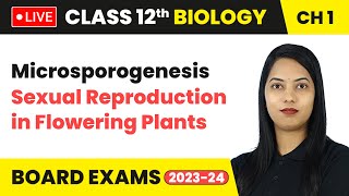 Microsporogenesis  Sexual Reproduction in Flowering Plants  Class 12 Biology Chapter 1  LIVE [upl. by Meng]