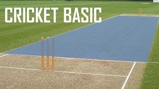 Cricket Basic Parameters  Cricket Fielding Positions  Batting Shots in Cricket [upl. by Clarisse]