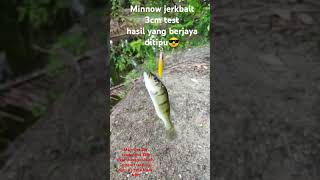 Test ride 3cm minnow 157g ft 2lb braided line murah [upl. by Ailedroc333]