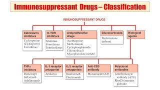 63 Immunosuppressant Drugs  Classification of Immunosuppressant  Example of Immunosuppressant [upl. by Elenaj]