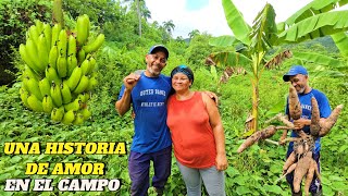 SACANDO Yuca BatataEn El CONUCO De NICOLASEL REPORTERO DEL CAMPO [upl. by Awhsoj401]