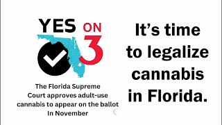 Yes on 3 Florida Amendment Ballot Initiative in 2024 [upl. by Ianthe]