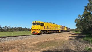 P2509 amp P2505 on 1G52 empty grain to Mingenew seen at Irwin [upl. by Nirual854]