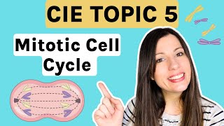 Mitosis and the Cell Cycle  Entire topic CIE Alevel Biology Topic 5 [upl. by Penrose]