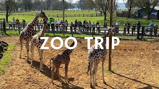 OUR FIRST TIME AT WHIPSNADE ZOO [upl. by Tuppeny]