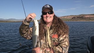 Flaming Gorge Summer Trout Fishing [upl. by Shapiro405]