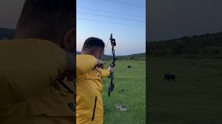 3D Wildboar Shooting Junxing Model M128  bowhunting wildboar hogg domuzavi 3darchery [upl. by Eojyllib]