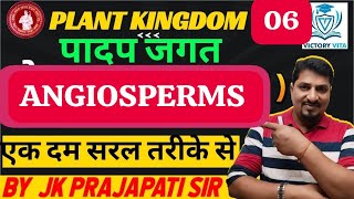 11 biology chapter 3 plant kingdom  angiosperms class 11 by jk prajapati sir [upl. by Allit220]