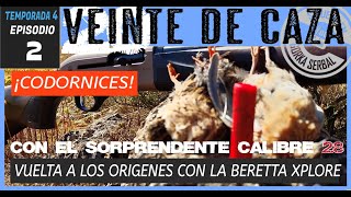 🔷T4E2 CAZA DE CODORNICES CON PERRO DE MUESTRA Y EL CALIBRE 28 ¡CUANDO EL TAMAÑO IMPORTA [upl. by Cacka]