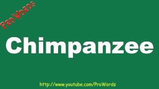 How to Pronounce Chimpanzee  Prowords HD [upl. by Thorndike954]