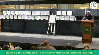 ANBC National Budgerigar Show 2024  DAY 2 CAMERA 2 DIRECT FEED  Launceston  Tasmania [upl. by Cogen481]