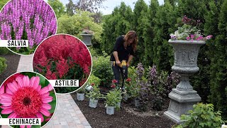 Planting 3 Pink Perennials in the Garden Salvia Astilbe amp A New Echinacea 💗🌸💗  Garden Answer [upl. by Enyale468]