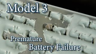 Tesla Model 3 Battery Module Failure Diagnostics [upl. by Ethe]