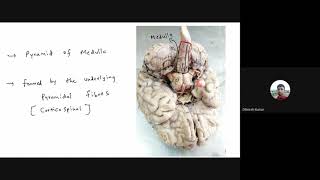 Neuroanatomy Spotters  Part  1  Dr Dhinesh Kumar  AIIMS [upl. by Emelun]