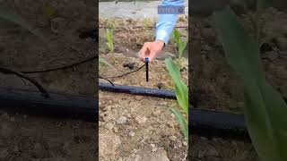 Adjustable dripper with 28cm stick microirrigation jainirrigation sprinklerirrigation dripper [upl. by Tail]