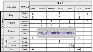 Alveolar fricatives s and z [upl. by Polk]