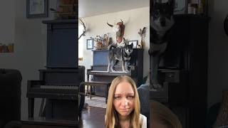 In your opinion does he have potential 😁 piano dog puanodasha musician reaction [upl. by Tica]