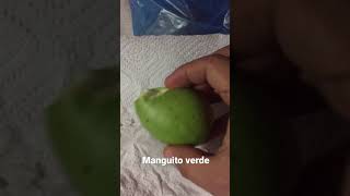 Comiendo manguito verde de El Salvador llanteros503 aventurasdeelsalvador [upl. by Qerat957]