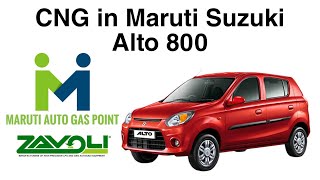 CNG In Maruti Suzuki Alto 800  ZAVOLI CNG kit installation in Alto 800  Maruti Auto Gas Point [upl. by Finny]