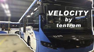 TransJakarta Terbaru  body Velocity Tentrem [upl. by Leaw687]