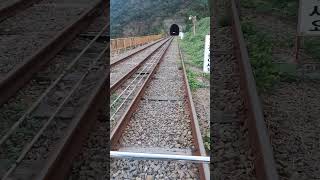 rail railtrack railbike seasideride yeosu [upl. by Suehtomit]