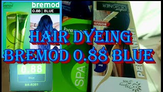 Bremod Blue  088 Permanent Hair Color DIY Procedure [upl. by Elisabet]