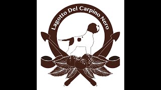 Edo del Carpino Nero [upl. by Krahling]