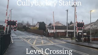 Cullybackey Station Level Crossing Ballymena Monday December 04122023 [upl. by Gaughan956]