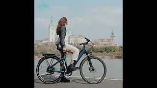 Fiido C11 city Ebike [upl. by Eytteb]