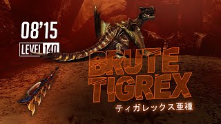 MH4UCitra Lv140 Brute Tigrexティガレックス亜種  SA  814quot20 [upl. by Fabrin441]