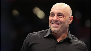 Joe Rogan roasts The View as rabiesinfested henhouse [upl. by Ahsiloc]