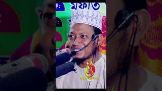 ভয় করলেউ বলবো যা হয় হবে  mufti amir hamzawaz 2023  আমির হামজা ওয়াজ  bangla waz amir hamza [upl. by Goodyear]